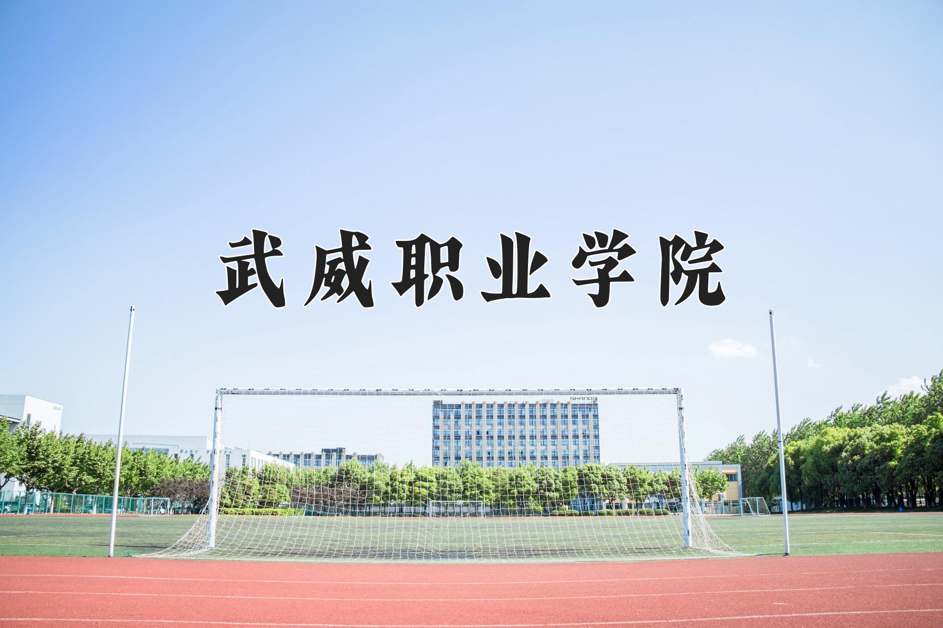 2024年武威职业学院在宁夏计划招生人数（附学费及专业录取分)