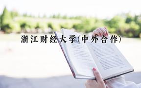 2024年浙江财经大学(中外合作)在云南计划招生人数（附学费及专业录取分)