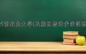 2024年云南农业大学(民族团结进步示范班)在云南计划招生人数（附学费及专业录取分)