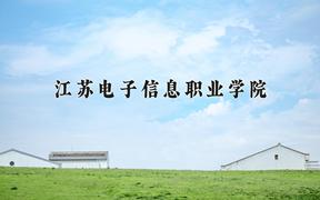 2024年江苏电子信息职业学院在宁夏计划招生人数（附学费及专业录取分)