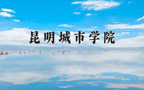 2024年昆明城市学院在云南计划招生人数（附学费及专业录取分)