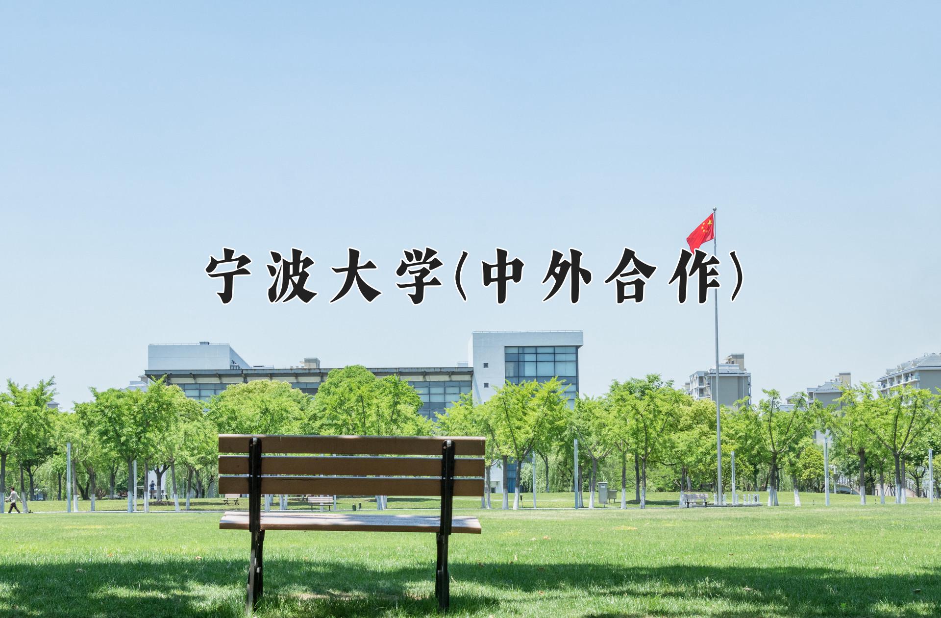 宁波大学(中外合作)近三年录取分数线及位次：福建2021-2023最低分