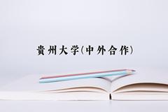 2024年贵州大学(中外合作)在云南计划招生人数（附学费及专业录取分)