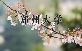 2024年郑州大学在云南计划招生人数（附学费及专业录取分)