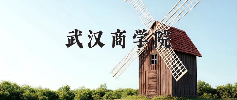 2024年武汉商学院在云南计划招生人数（附学费及专业录取分)