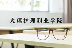 2024年大理护理职业学院在云南计划招生人数（附学费及专业录取分)