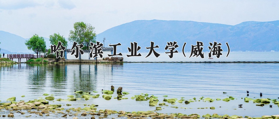 哈尔滨工业大学(威海)近三年录取分数线及位次:福建2021-2023最低分