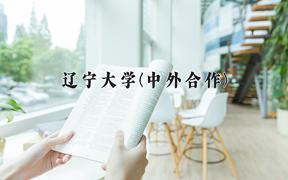 辽宁大学(中外合作)近三年录取分数线及位次：福建2021-2023最低分