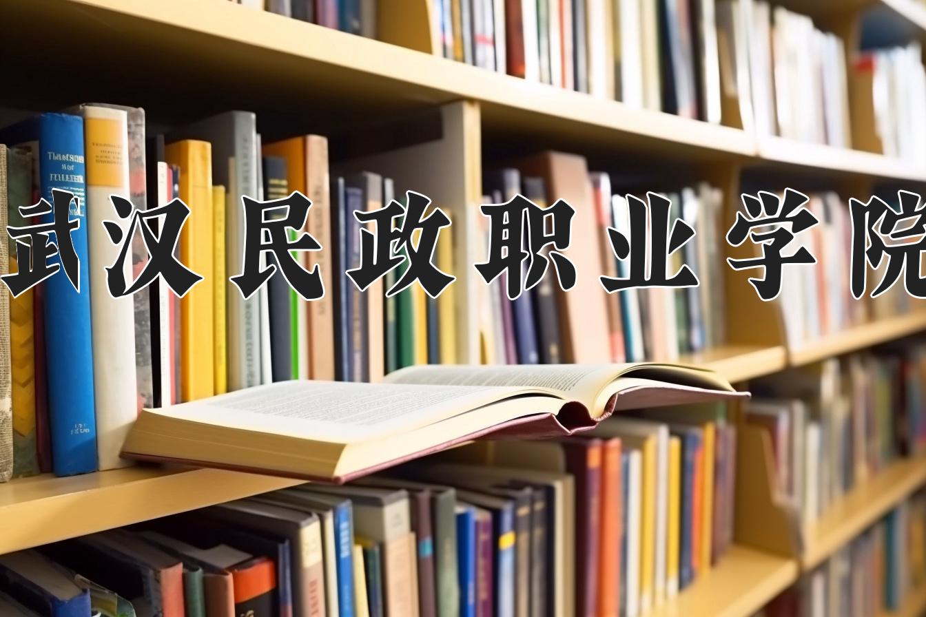 2024年武汉民政职业学院在云南计划招生人数（附学费及专业录取分)