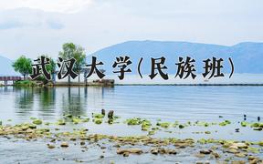 2024年武汉大学(民族班)在宁夏计划招生人数（附学费及专业录取分)