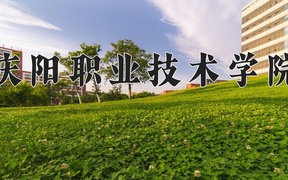 2024年庆阳职业技术学院在宁夏计划招生人数（附学费及专业录取分)