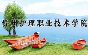 2024年贵州护理职业技术学院在云南计划招生人数（附学费及专业录取分)