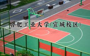 2024年合肥工业大学(宣城校区)在宁夏计划招生人数（附学费及专业录取分)