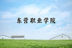 2024年东营职业学院在宁夏计划招生人数（附学费及专业录取分)