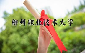 2024年柳州职业技术大学在云南计划招生人数（附学费及专业录取分)