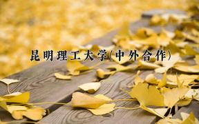 昆明理工大学(中外合作)近三年录取分数线及位次：福建2021-2023最低分