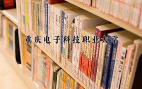 2024年重庆电子科技职业大学在宁夏计划招生人数（附学费及专业录取分)