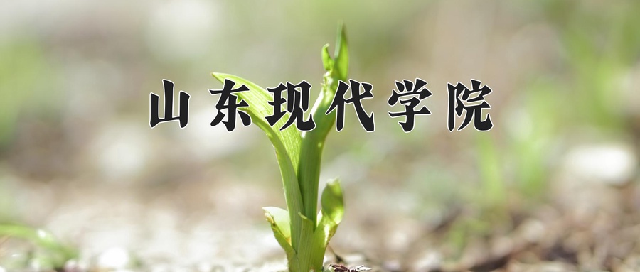 2024年山东现代学院在宁夏计划招生人数（附学费及专业录取分)