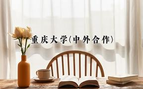 2024年重庆大学(中外合作)在云南计划招生人数（附学费及专业录取分)