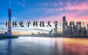 桂林电子科技大学(预科班)近三年录取分数线及位次：福建2021-2023最低分