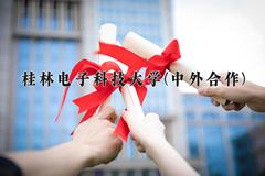 桂林电子科技大学(中外合作)近三年录取分数线及位次：福建2021-2023最低分