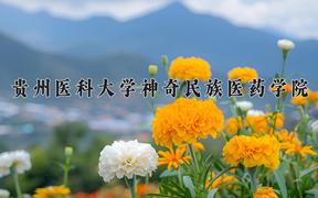 2024年贵州医科大学神奇民族医药学院在云南计划招生人数（附学费及专业录取分)