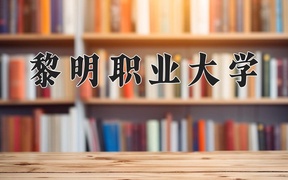 2024年黎明职业大学在云南计划招生人数（附学费及专业录取分)