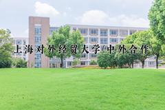 2024年上海对外经贸大学(中外合作)在云南计划招生人数（附学费及专业录取分)