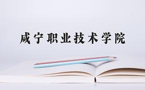 2024年咸宁职业技术学院在宁夏计划招生人数（附学费及专业录取分)