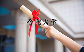 合肥大学全国排名及2024年最低录取分数线