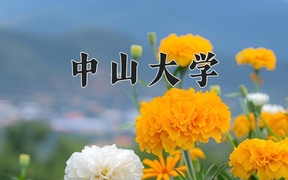 中山大学全国排名及2024年最低录取分数线