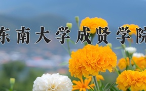 2024东南大学成贤学院录取分数线及位次一览：江苏考生2025填报参考