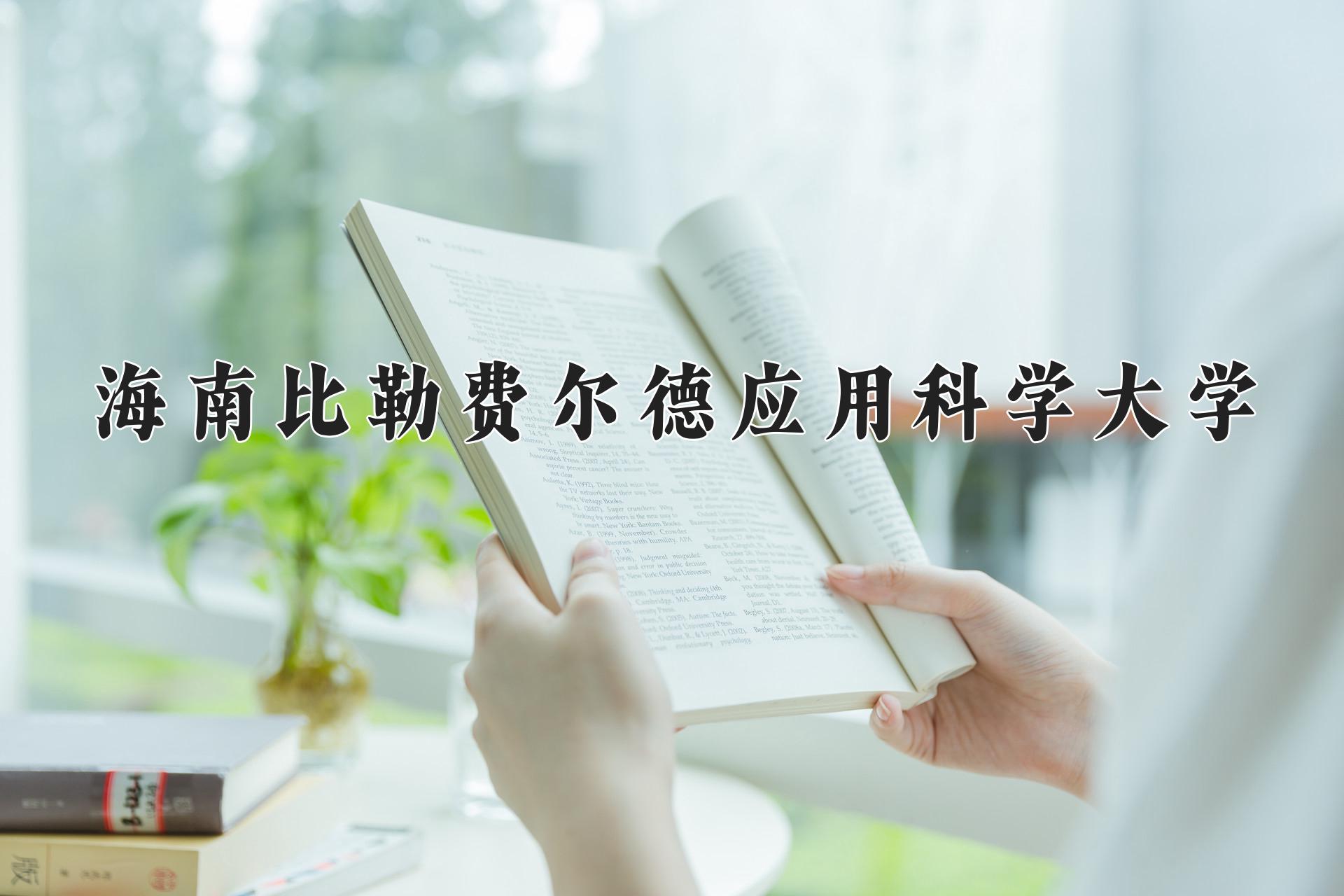 海南比勒费尔德应用科学大学