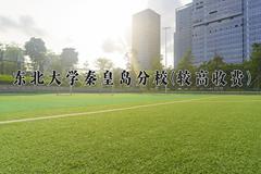 2024东北大学秦皇岛分校(较高收费)录取分数线及位次一览：河南考生2025填报参考