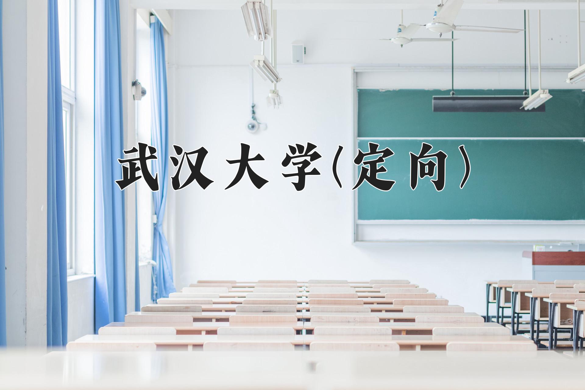 武汉大学(定向)