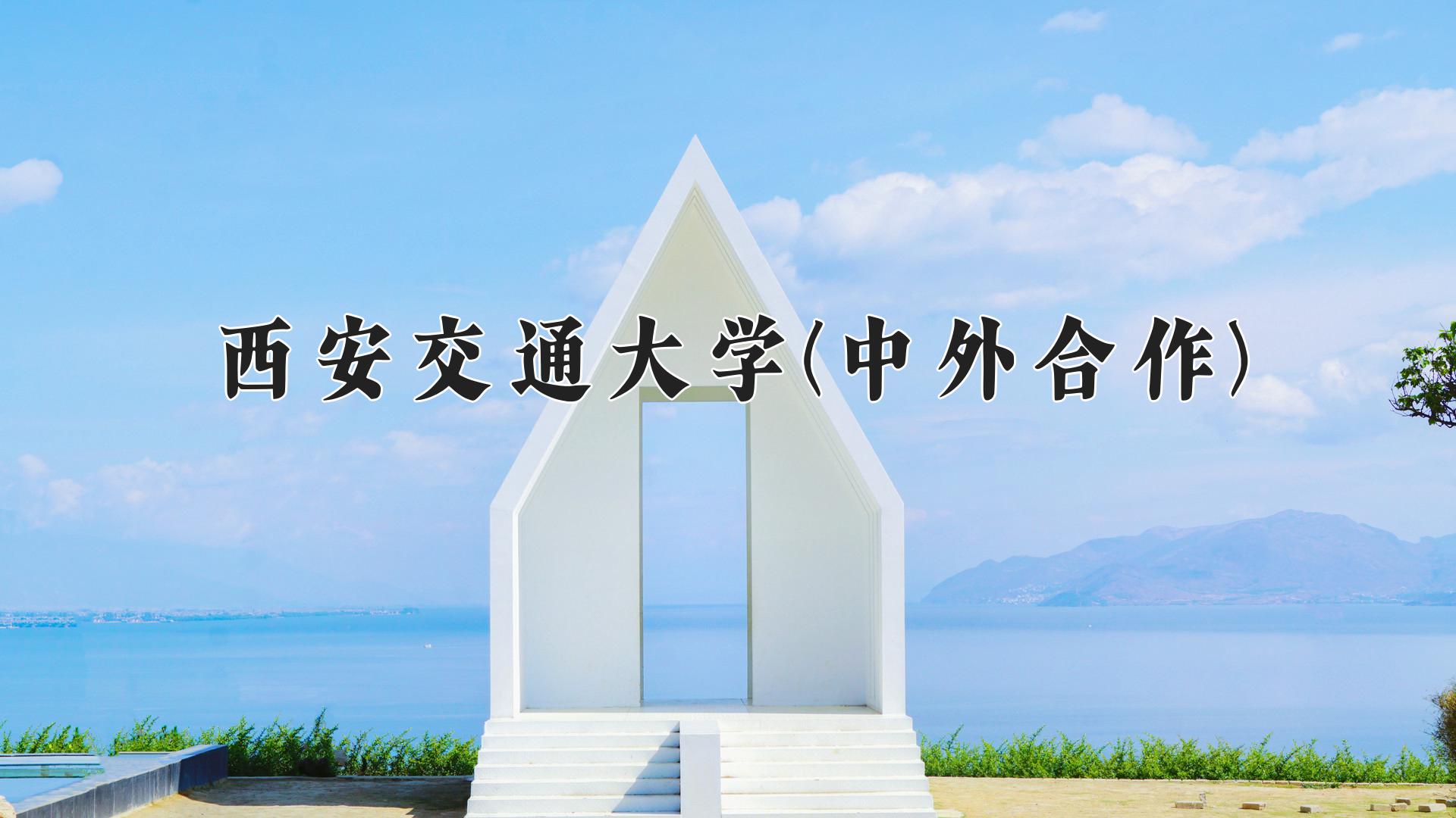 西安交通大学(中外合作)