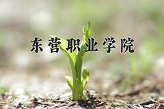 东营职业学院近三年录取分数线及位次：江苏2021-2023最低分