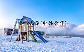 2024年南昌大学(中外合作)在内蒙古计划招生人数（附学费及专业录取分)