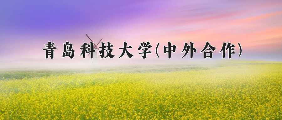 青岛科技大学(中外合作)