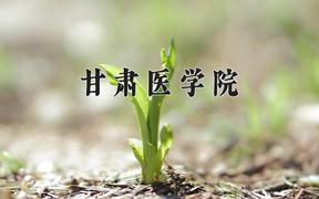 2024年甘肃医学院在内蒙古计划招生人数（附学费及专业录取分)