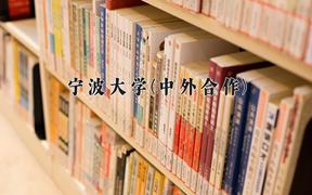 2024宁波大学(中外合作)录取分数线及位次一览：河南考生2025填报参考