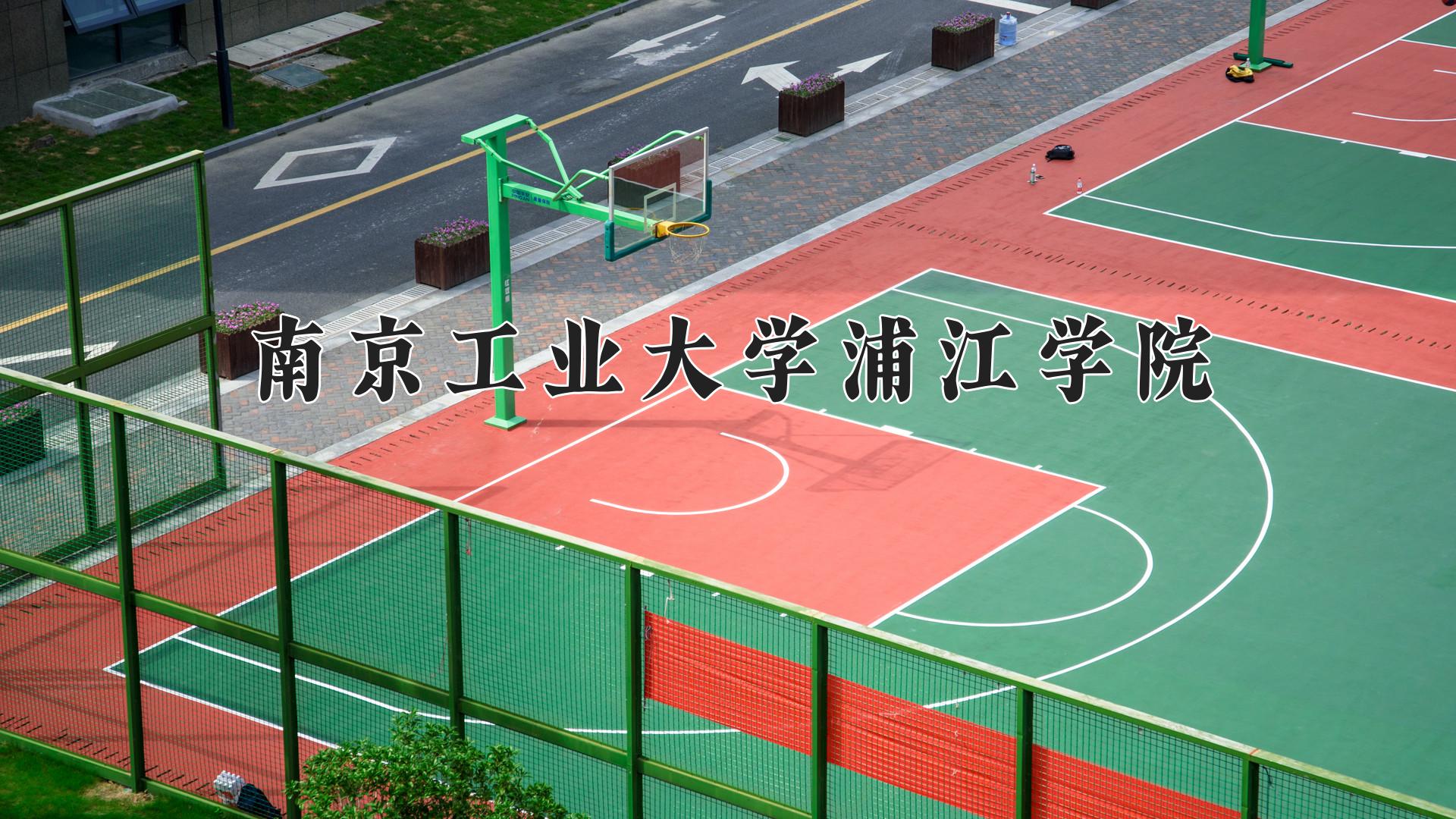 南京工业大学浦江学院