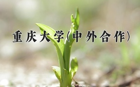 2024重庆大学(中外合作)录取分数线及位次一览：河南考生2025填报参考