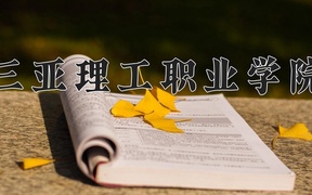 2024年三亚理工职业学院在内蒙古计划招生人数（附学费及专业录取分)
