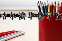 2024哈尔滨华德学院录取分数线及位次一览：河南考生2025填报参考