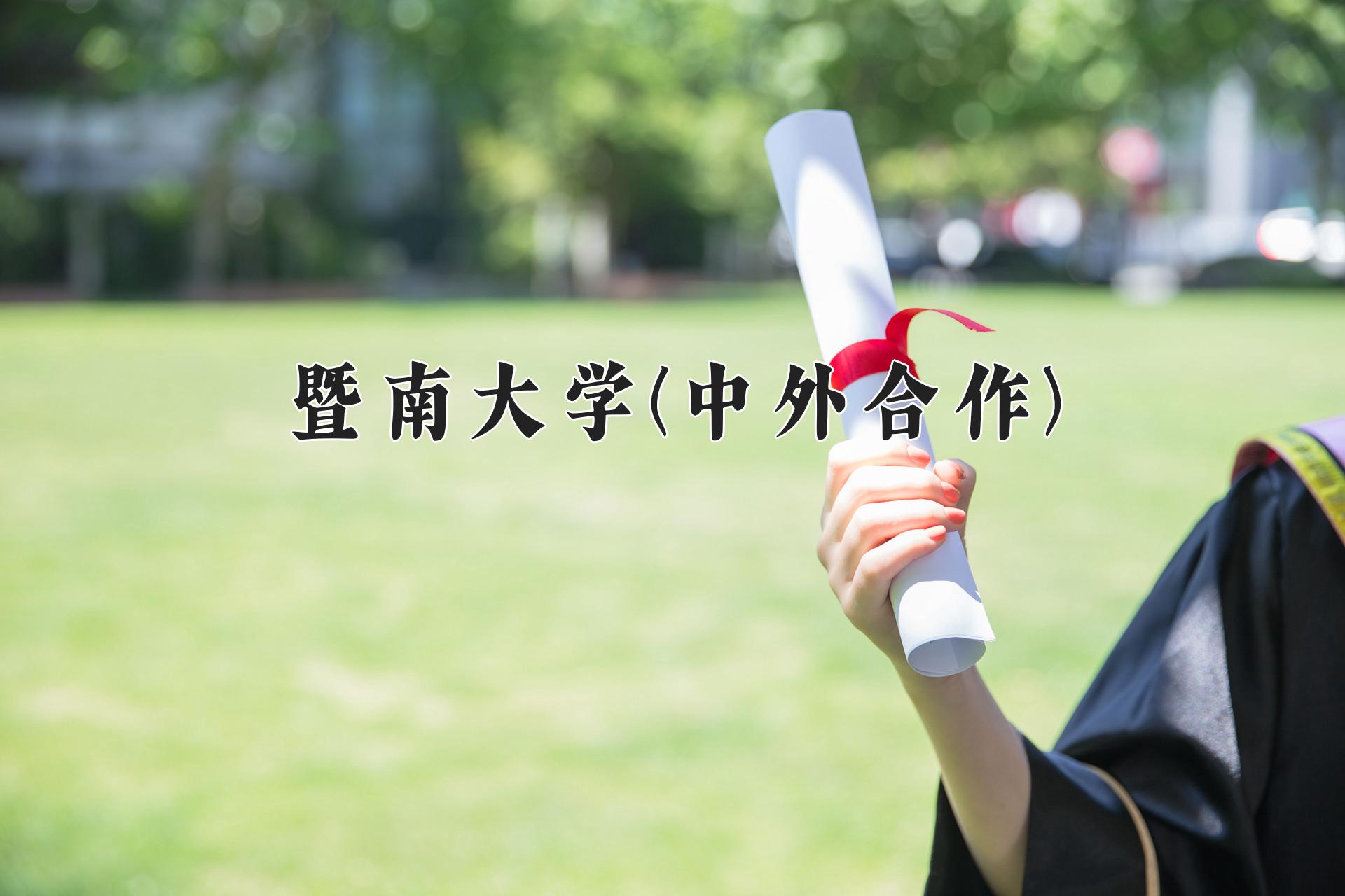 暨南大学(中外合作)