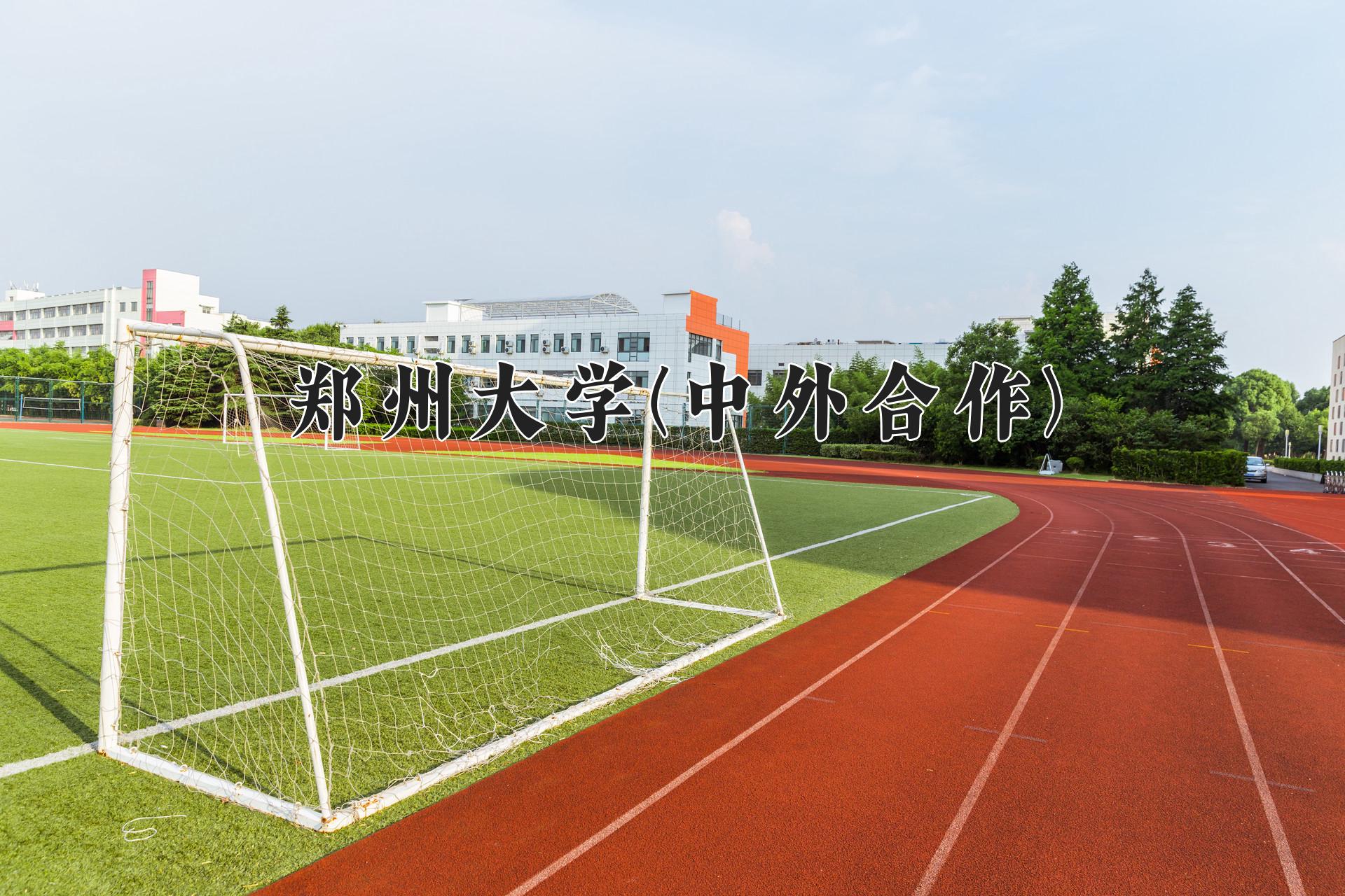 郑州大学(中外合作)