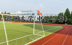 2024郑州大学(中外合作)录取分数线及位次一览：河南考生2025填报参考