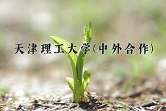 2024天津理工大学(中外合作)录取分数线及位次一览：河南考生2025填报参考