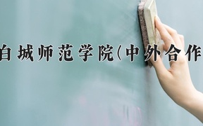 2024白城师范学院(中外合作)录取分数线及位次一览：河南考生2025填报参考